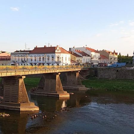 Затишна Двокімнатна Квартира В Самому Серці Ужгорода Екстер'єр фото