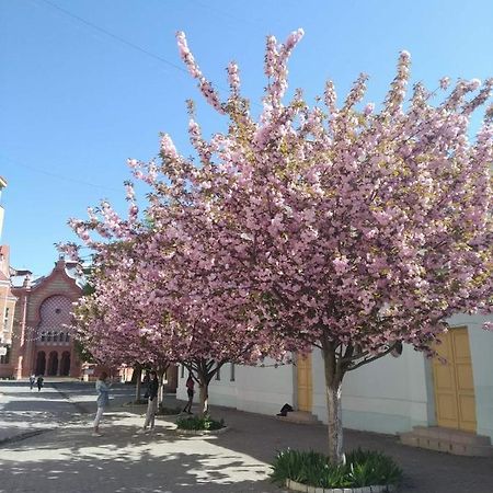 Затишна Двокімнатна Квартира В Самому Серці Ужгорода Екстер'єр фото