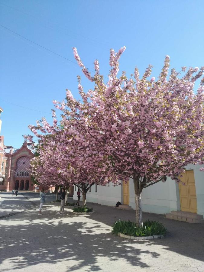 Затишна Двокімнатна Квартира В Самому Серці Ужгорода Екстер'єр фото